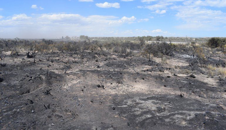 Como en cada incendio rural, y escenario desolador queda por donde pasó el fuego. 