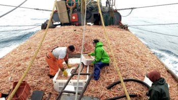 se adelanto la pesca de langostino y el precio alcanzo 7,20 dolares