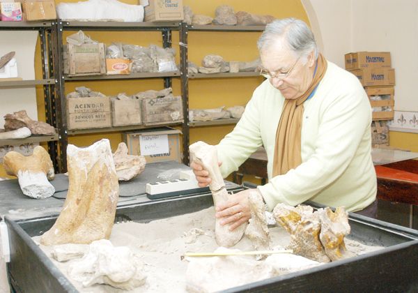 Refacciones en el Museo Ameghino