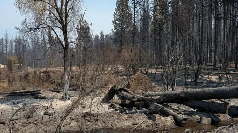 Un indicio relevante encontraron en uno de los lugares donde se desató un incendio. Se trata de una botella que está siendo peritada. El gobernador Weretilneck sostuvo que fue un atentado. 