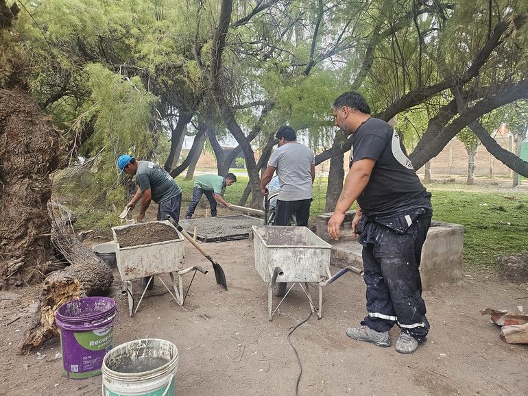 Una vez finalizados los trabajos actuales, el plan continuará en Isla Jordán.