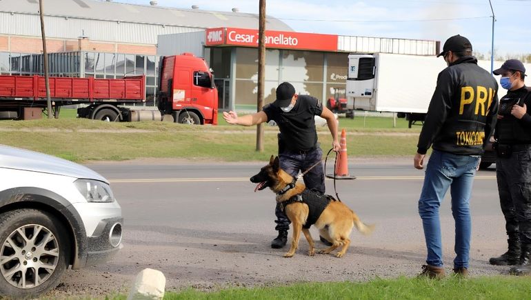 El perro Máximo fue clave para descubrir a la banda narco.
