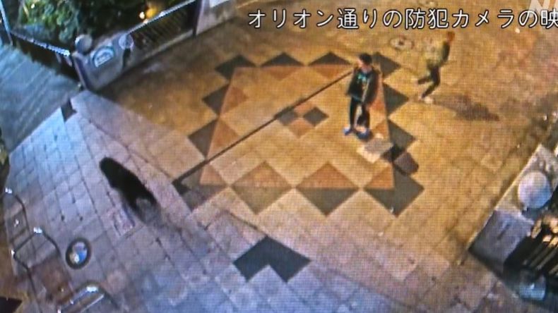 Dos personas se encuentran de manera sorpresiva con un oso en Japón. | LMCipolletti.com Dos personas se encuentran de manera sorpresiva con un oso en Japón.