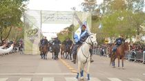 Más de 180 instituciones, clubes, escuelas deportivas y organizaciones participaron de desfile aniversario de Cipolletti.