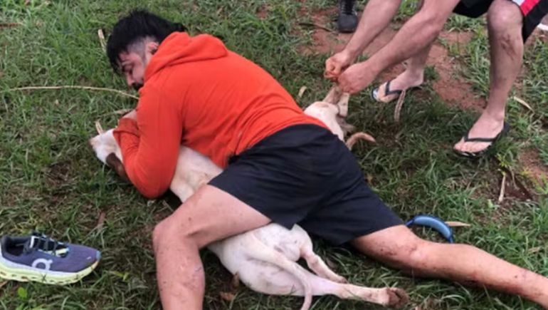 El hombre agredido tardó unos cinco minutos en poder controlar a los pitbulls en Brasil.