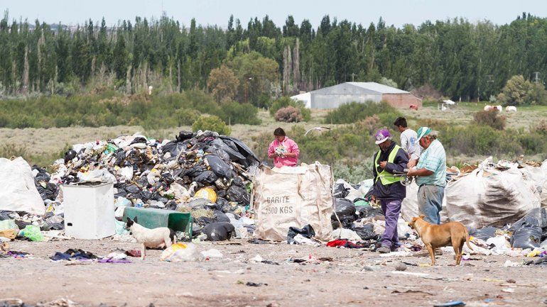 Los comerciantes no hacen la separación de residuos