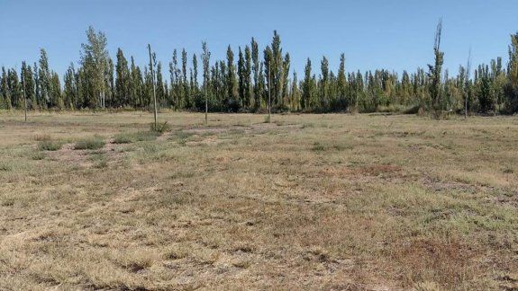 En la zona norte, hay muchas tierras que ya no son productivas y que podrían ser loteadas, si el Municipio accediera a autorizarlo. &nbsp;