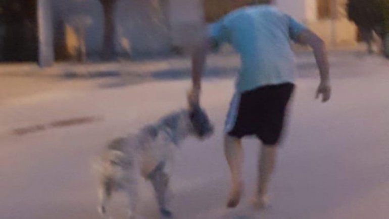 Perro atacó brutalmente a una joven de 16 años y su mascota