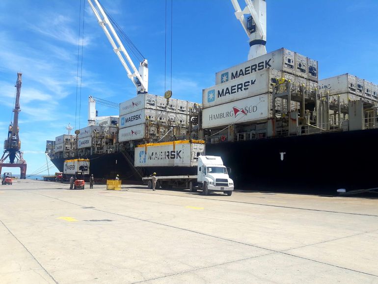Todas las medidas se anunciaron a solo semanas de dar iniico la cosecha de peras y manzanas. Hay mucha incertidumbre en el sector.
