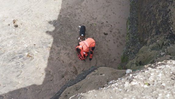 Prefectura rescató a un perro que corría peligro de morir ahogado