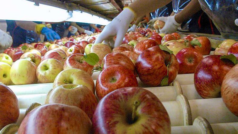 La demanda de manzana en el mercado interno se mantiene relativamente estable.