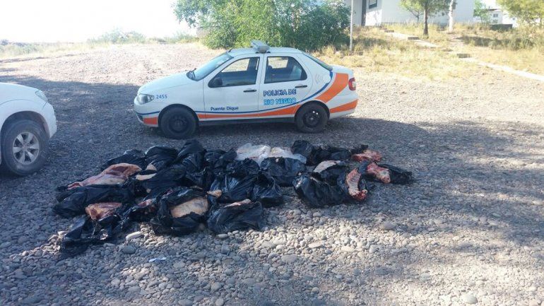 Decomisaron 27 costillares sobre la Ruta 151