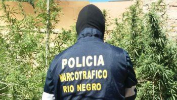 vecinos se suman a luchar contra los narcoviveros vecinos se suman a luchar contra los narcoviveros