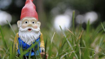 alarma por una ola de robos de enanos de jardin en cipolletti