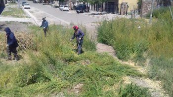 el municipio limpio 250 terrenos baldios privados 