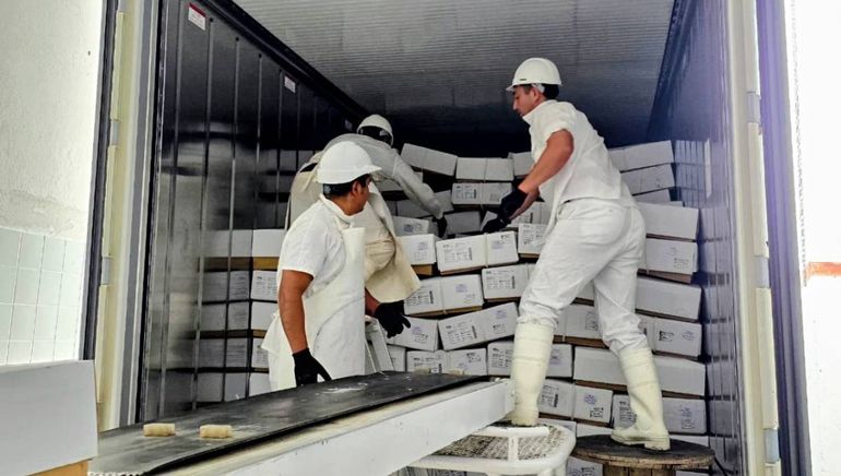 Aquel sueño de 15 trabajadores se hizo realidad y superó las expectativas. Hoy exportan al mundo.