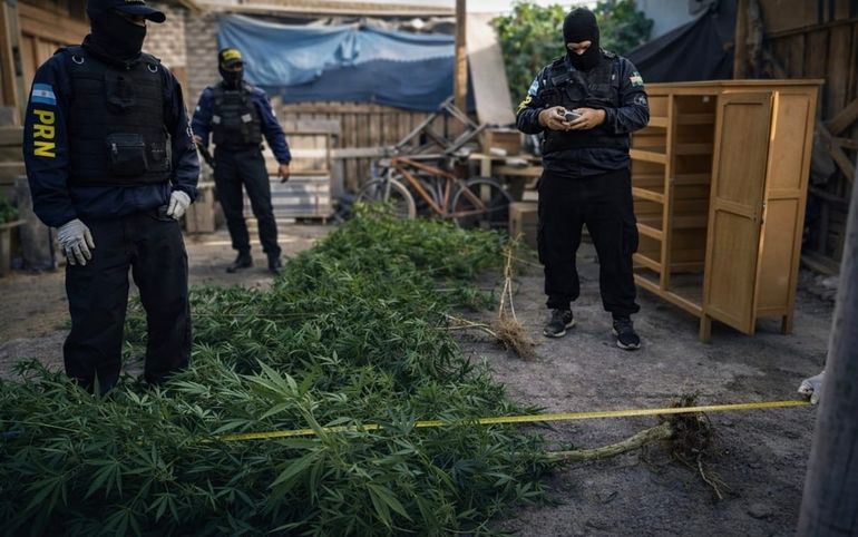 El operativo se llevó a cabo tras un trabajo silencioso que se extendió durante 30 días. Foto: Gentileza.