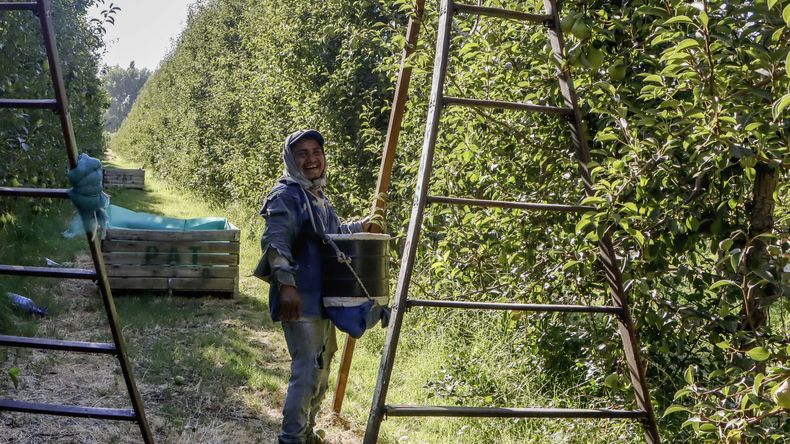 Finalizada la cosecha de frutas en todo el Valle, llega una ayuda clave para el productor.