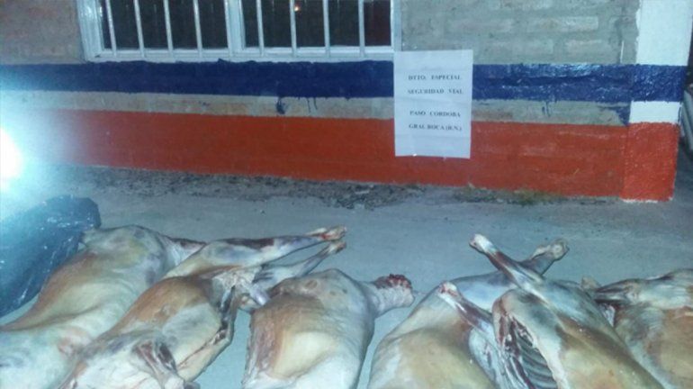 Decomisaron 23 corderos faenados que ingresaban al Valle de contrabando