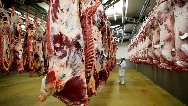 Crisis en exportaciones de carne: China reduce compras a Argentina en un 46%