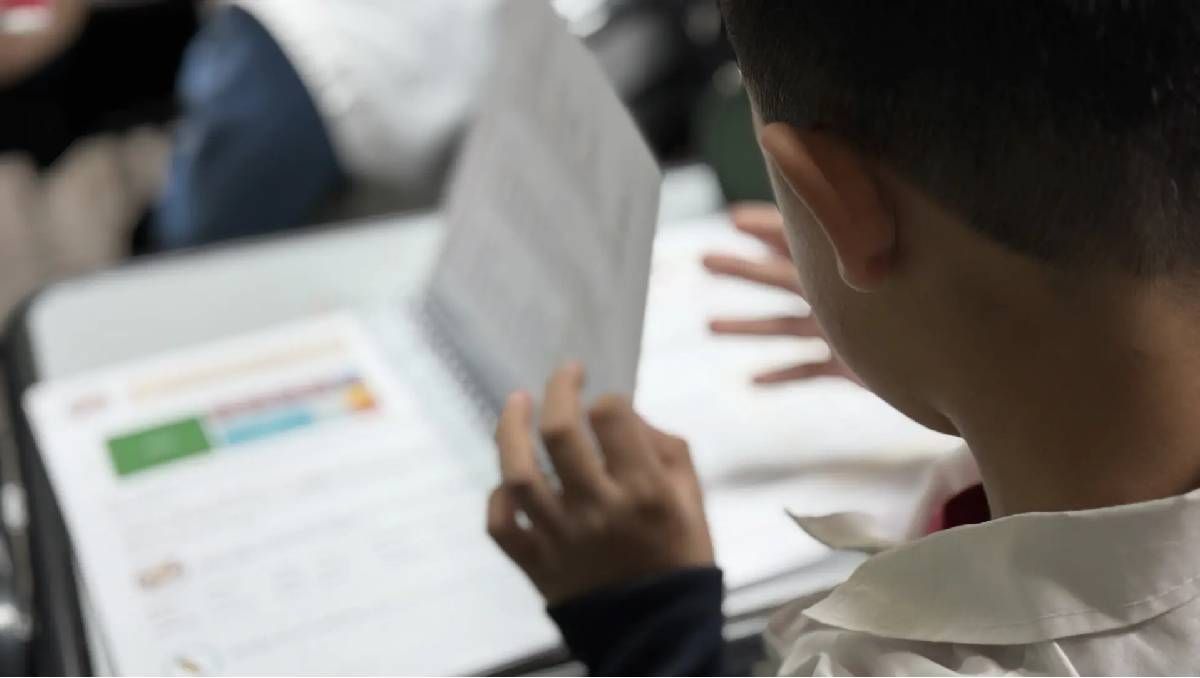 Buscan aprobar de forma definitiva y en segunda vuelta, la iniciativa de declarar a la educación como servicio esencial en Rio Negro. (Foto: archivo)
