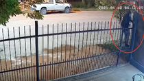 El ladrón se trepó al portón de una casa de Fernández Oro y se robó una bici. Todo quedó registrado por una cámara de seguridad.&nbsp;