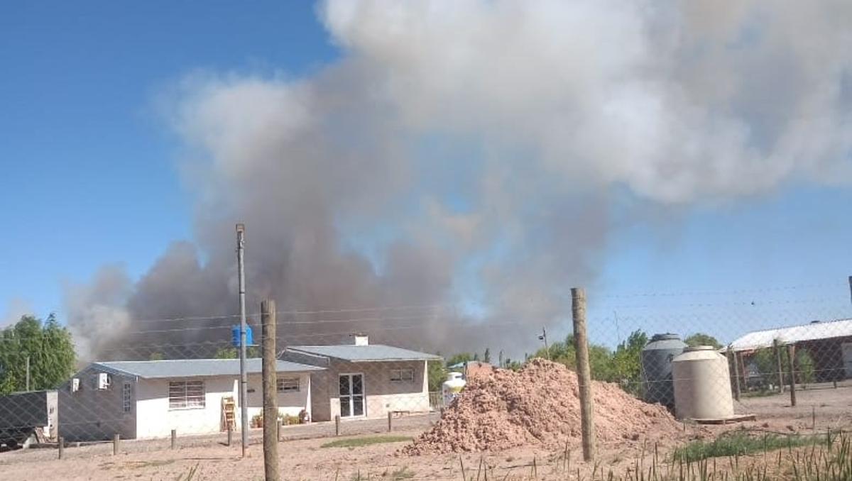 Siguen las humaredas intensas en el basural municipal