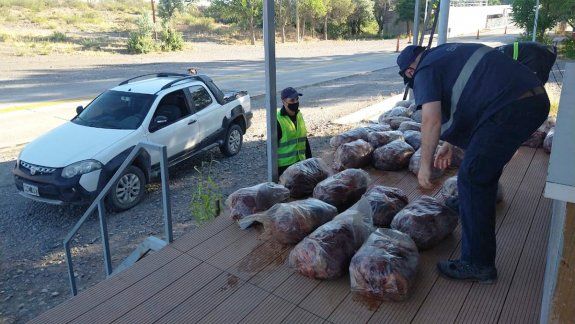Quiso entrar a Río Negro con media tonelada de carne ilegal
