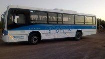 Los perlenses que utilizan el transporte público para ir y venir entre su comunidad y Neuquén no tuvieron colectivos por algunas horas por el partido de Argentina en el Mundial. Los pobladores festejaron de lo lindo como en el resto del país. Los perlenses que utilizan el transporte público para ir y venir entre su comunidad y Neuquén no tuvieron colectivos por algunas horas por el partido de Argentina en el Mundial. Los pobladores festejaron de lo lindo como en el resto del país.
