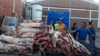 una cooperativa dono corderos y cerveza a obreros de interlagos