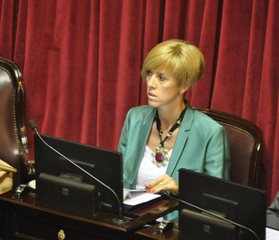​García Larraburu pide informes al Gobierno Nacional sobre la Gripe A