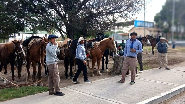 La jineteada genera polémica y crece la tensión en Allen. La jineteada genera polémica y crece la tensión en Allen.