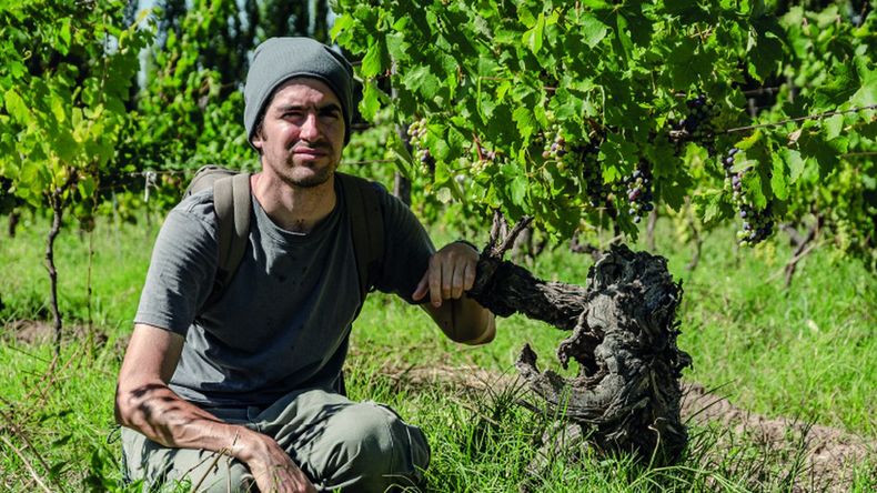 Guillermo, inmerso en viñedos de la Patagonia. Foto: gentileza