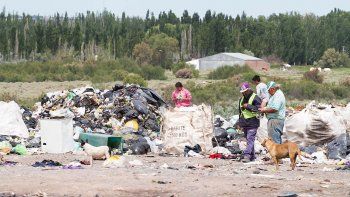 prueba piloto: la separacion de la basura arranco a media maquina