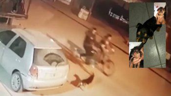 video: paso en bicicleta, disparo a quemarropa y mato a un perro