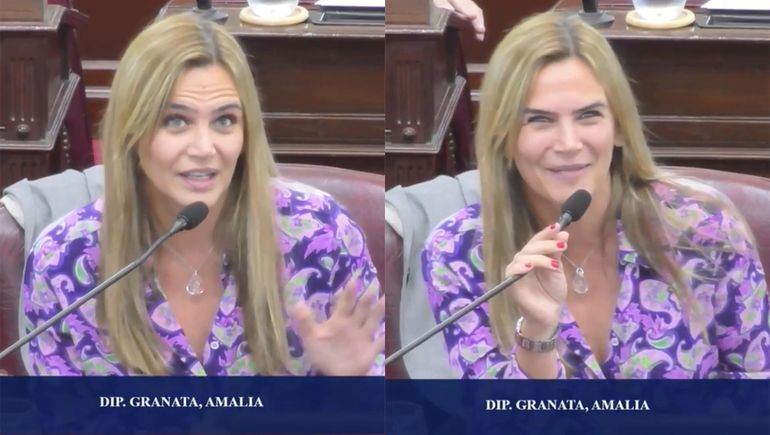 El video viral de Amalia Granata en la Cámara de Diputados: Perdón, metí la pata