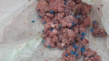 alerta en fernandez oro: dejaron carne con veneno en la calle