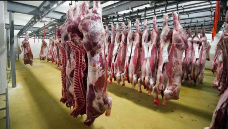 Nación reabrirá la exportación de carne la semana próxima