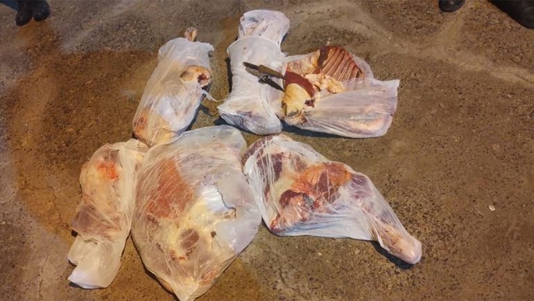 Más carne ilegal: la Policía decomisó desde jabalíes a grandes piezas vacunas