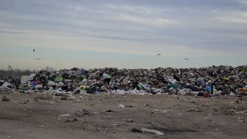 Todos los días del año, el basural a cielo abierto de Cipolletti recibe cerca de 270 toneladas que son enterradas.