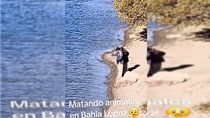 Pescadores pescados: Una pareja tiraba la caña fuera de temporada, un vecino los encaró y es viral. Pescadores pescados: Una pareja tiraba la caña fuera de temporada, un vecino los encaró y es viral.