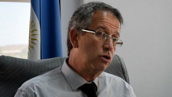 Habrá mano dura en causas de crueldad animal