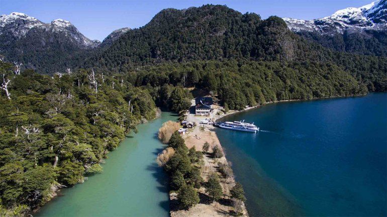 Una planta carnívora amenaza al ecosistema del Parque Nahuel Huapi