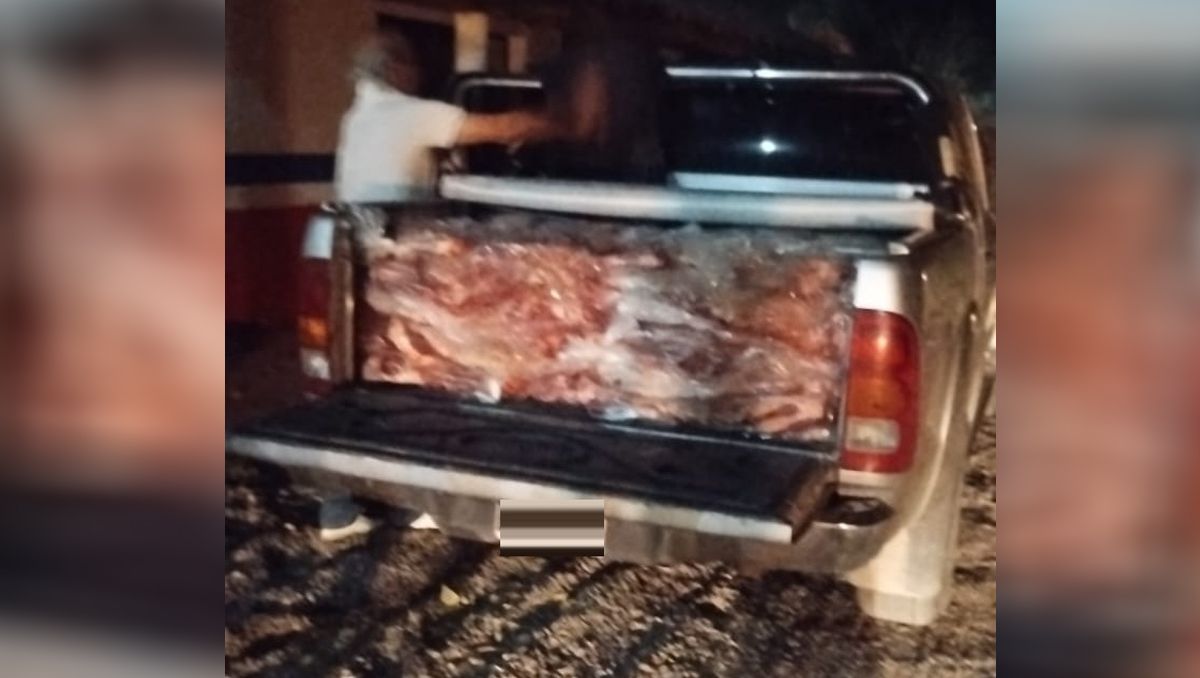 Decomisaron más de 100 costillares que tenían como destino General Roca