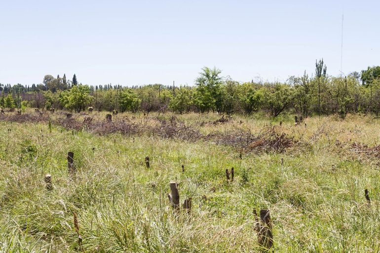 Inquietud por un proyecto sobre las tierras rurales