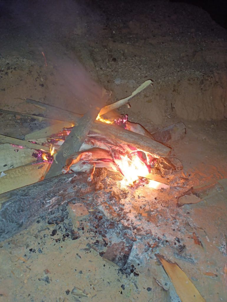 Los agentes confeccionaron el acta de infracción y efectuaron la incineración de la carne.