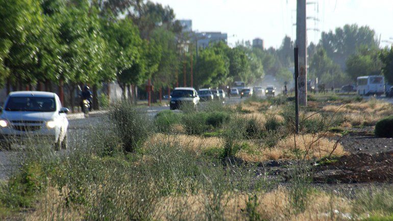 Pistoleros en moto meten miedo en el San Lorenzo
