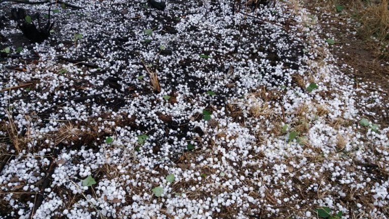 El granizo golpeó duro a las chacras del Alto Valle