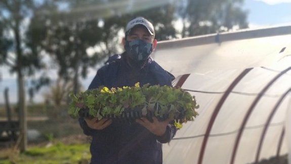 Ya crearon diez invernaderos escuela