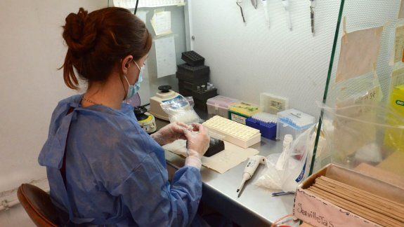 ¿Qué dicen los especialistas sobre la misteriosa hepatitis?